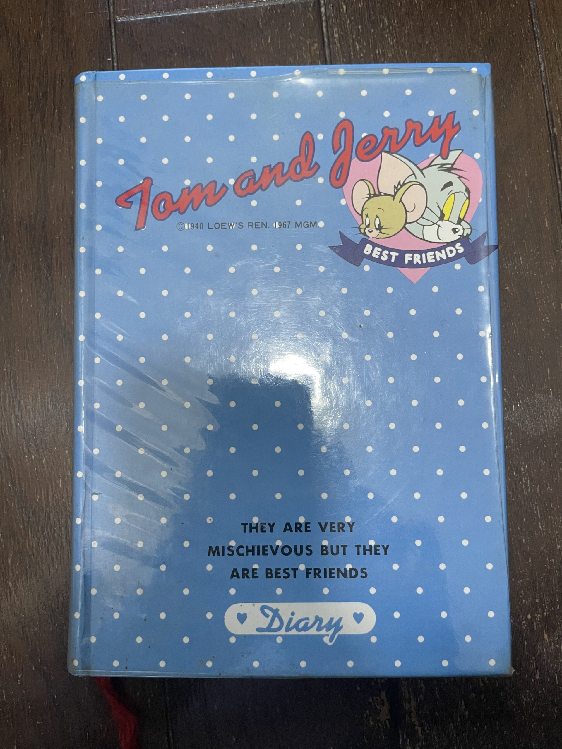 収蔵日記紹介　004　1980年10代男性